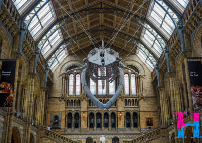 Day04_UK4