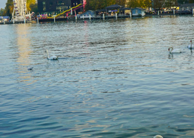 Day08_Luzern5