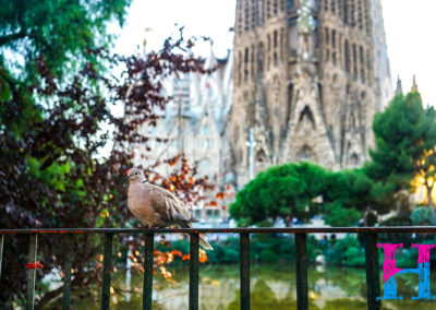 Day22_Barcelona31