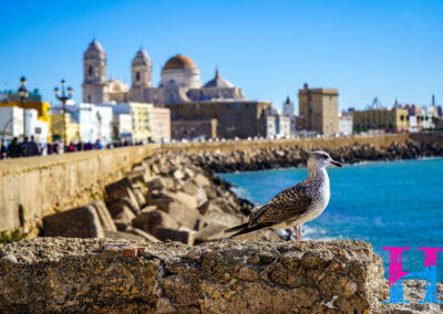 Day28_Cadiz5