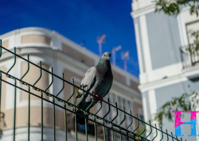 Day31_Cadiz2