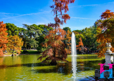 Day33_Madrid6