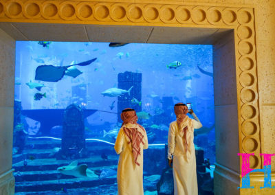 Day37_Dubai59