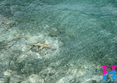 Day39_Maldives13