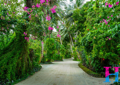 Day40_Maldives26