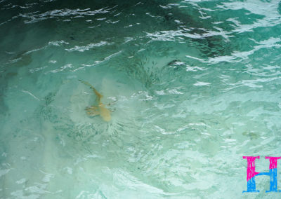 Day41_Maldives1
