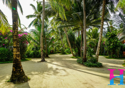 Day41_Maldives19