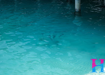 Day42_Maldives3