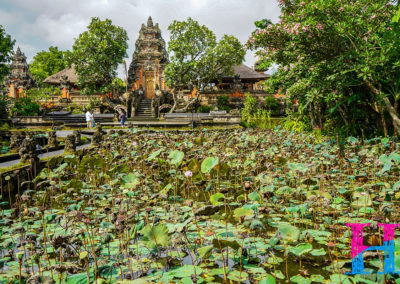 Day45_Bali24