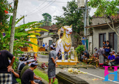 Day45_Bali4