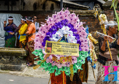 Day45_Bali9