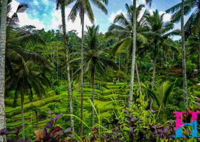 Day46_Bali13