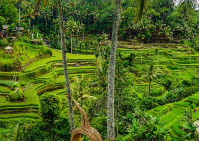Day46_Bali14