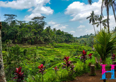 Day46_Bali16