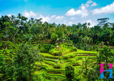 Day46_Bali17