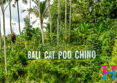 Day46_Bali35