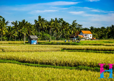 Day46_Bali4