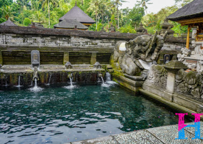 Day46_Bali45