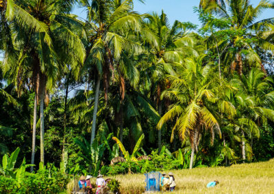 Day46_Bali5