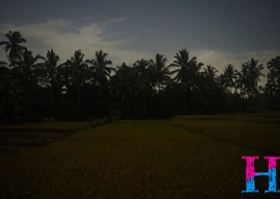 Day46_Bali54