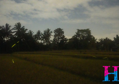 Day46_Bali55