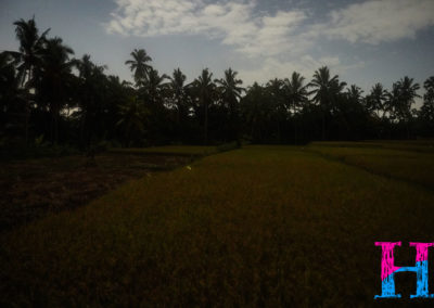 Day46_Bali56