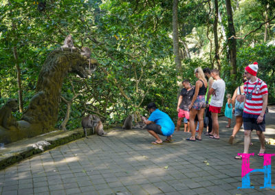 Day47_Bali15