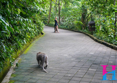 Day47_Bali2
