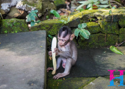 Day47_Bali20