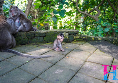 Day47_Bali21