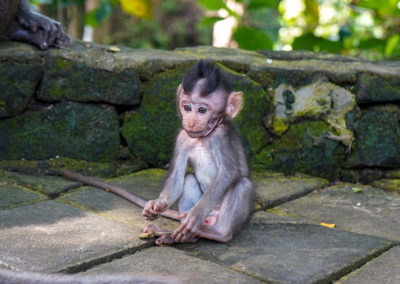 Day47_Bali23