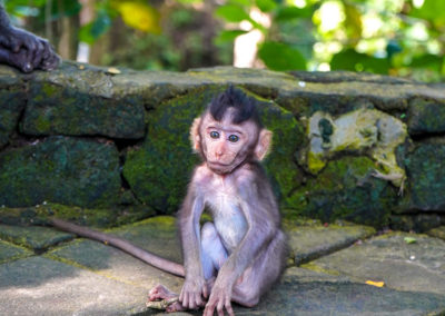 Day47_Bali24