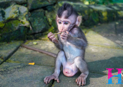 Day47_Bali28