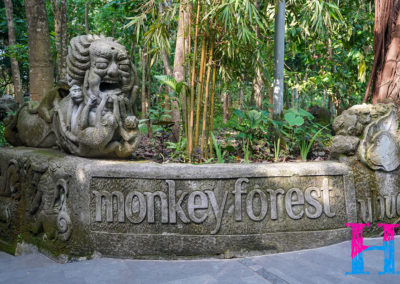 Day47_Bali31