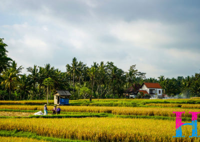 Day47_Bali32