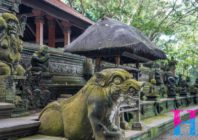 Day47_Bali5