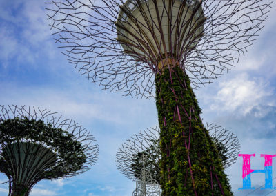 Day48_Singapore1