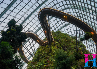 Day48_Singapore10