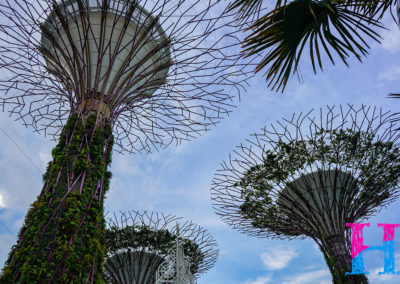 Day48_Singapore2