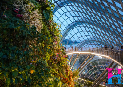 Day48_Singapore20