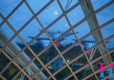 Day48_Singapore26