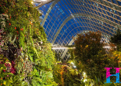 Day48_Singapore29