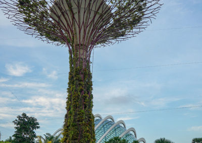 Day48_Singapore3