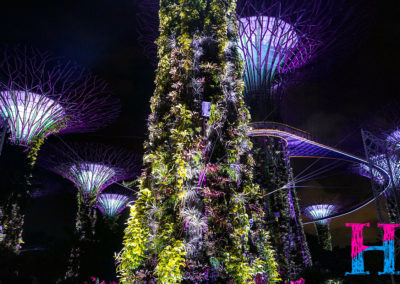Day48_Singapore31