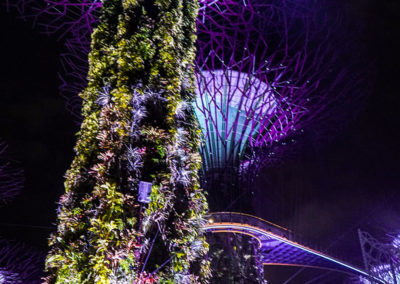 Day48_Singapore33