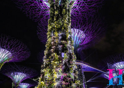 Day48_Singapore34