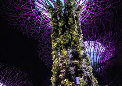 Day48_Singapore35