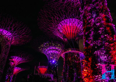 Day48_Singapore37