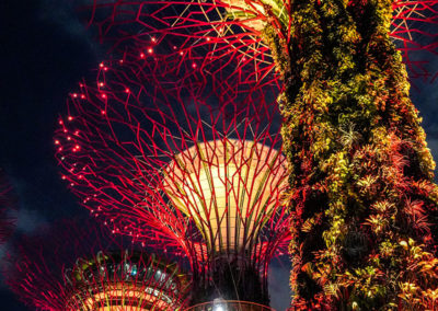 Day48_Singapore39