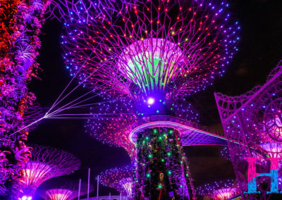 Day48_Singapore40
